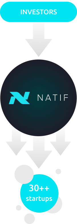 About NATIF